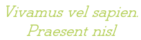 Vivamus vel sapien.  Praesent nisl