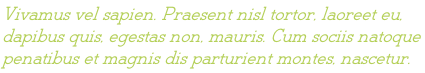 Vivamus vel sapien. Praesent nisl tortor, laoreet eu,  dapibus quis, egestas non, mauris. Cum sociis natoque  penatibus et magnis dis parturient montes, nascetur.