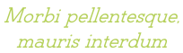 Morbi pellentesque,  mauris interdum