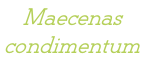 Maecenas  condimentum